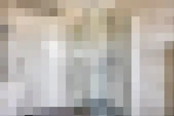 Belforthof 17 Eindhoven thumbnail 18
