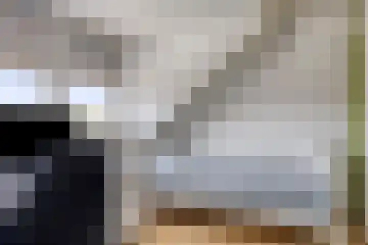 Belforthof 17 Eindhoven thumbnail 23
