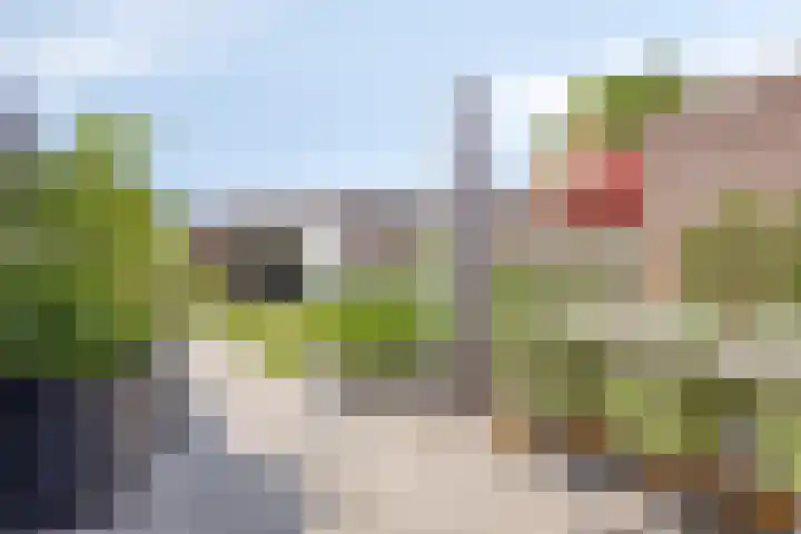 Belforthof 17 Eindhoven thumbnail 24