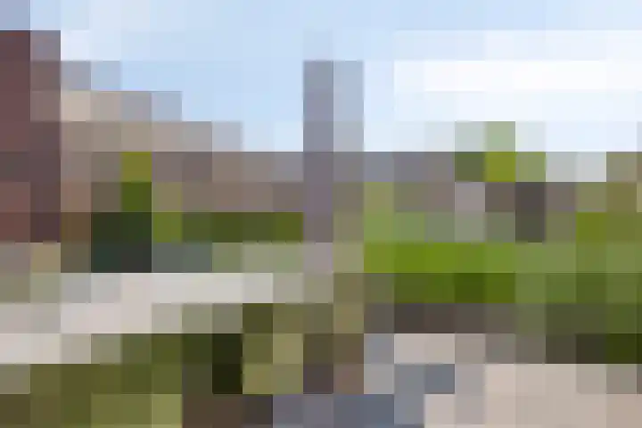 Belforthof 17 Eindhoven thumbnail 25