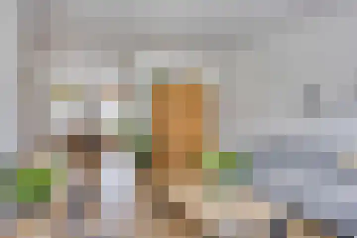Belforthof 17 Eindhoven thumbnail 8