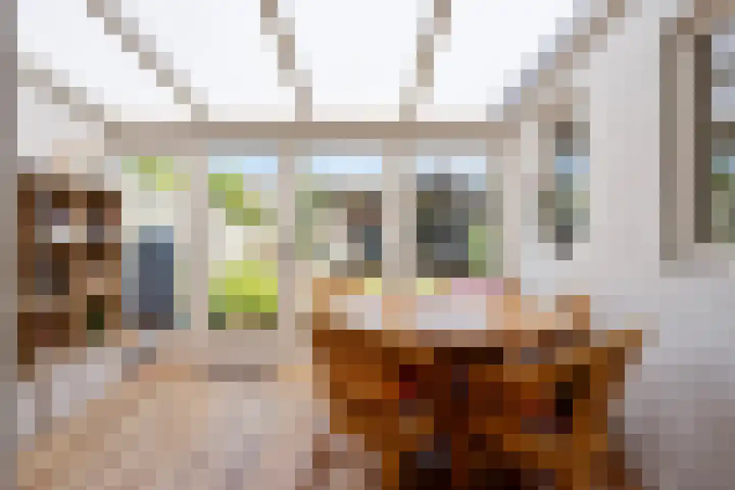 Belforthof 4 Eindhoven thumbnail 10