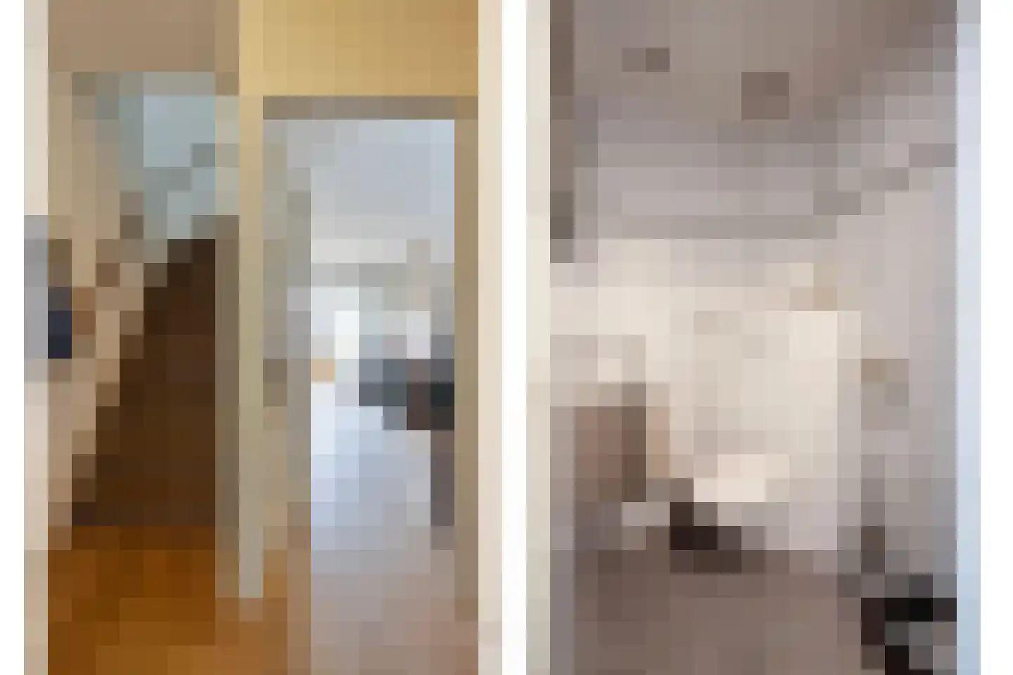 Belforthof 4 Eindhoven thumbnail 13