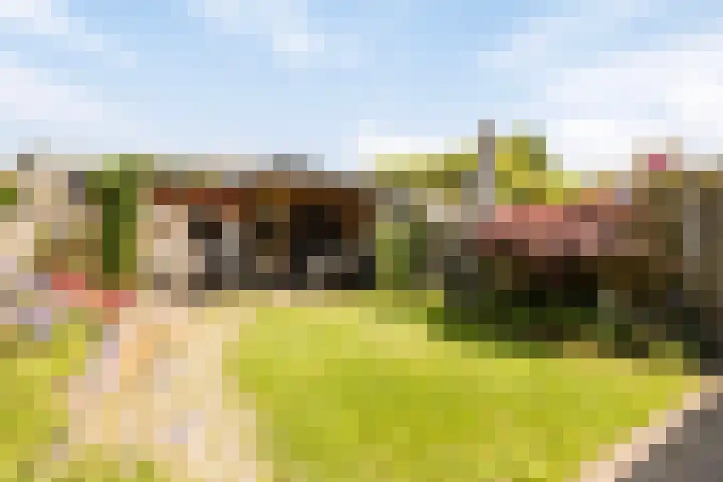 Belforthof 4 Eindhoven thumbnail 24
