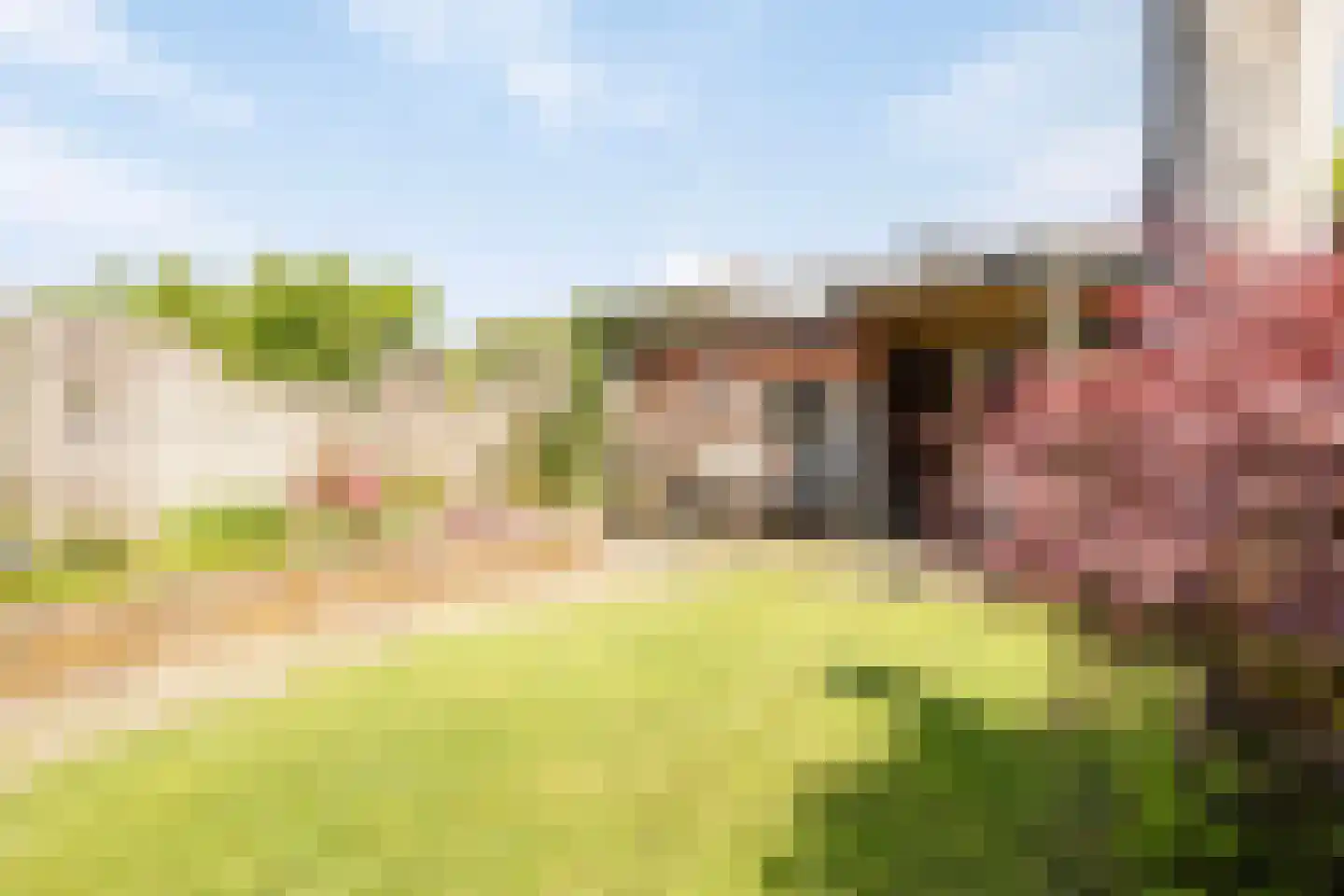 Belforthof 4 Eindhoven thumbnail 25