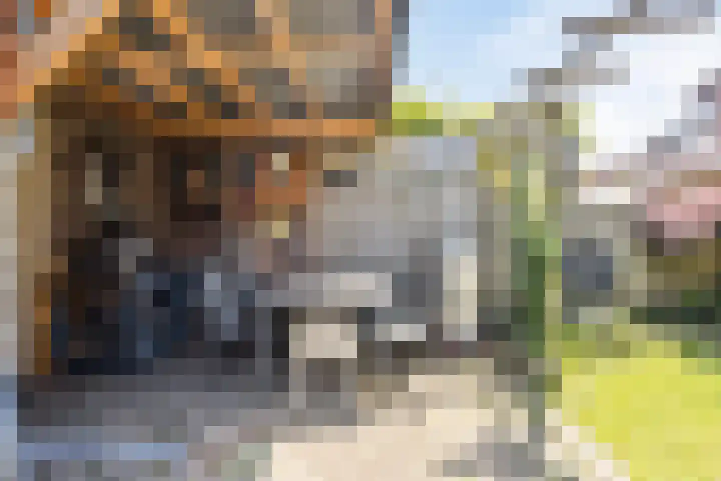 Belforthof 4 Eindhoven thumbnail 27