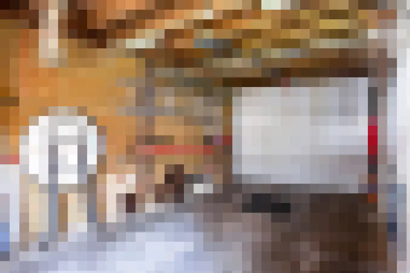 Belforthof 4 Eindhoven thumbnail 29