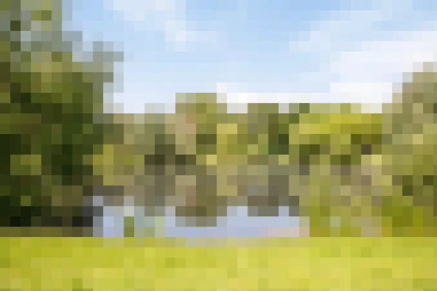 Belforthof 4 Eindhoven thumbnail 33