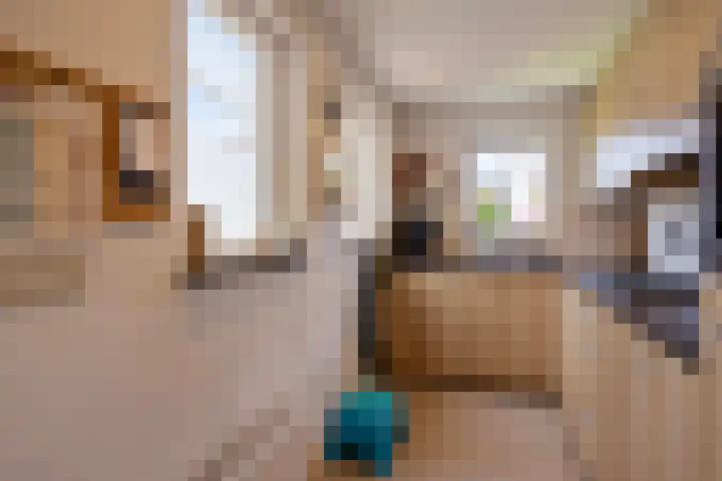 Belforthof 4 Eindhoven thumbnail 8