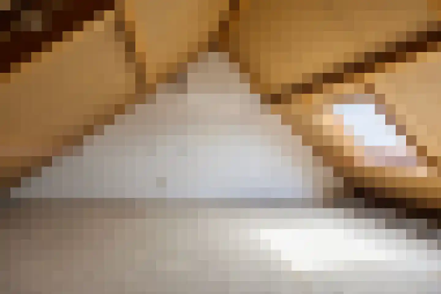 Belforthof 5 Eindhoven thumbnail 25