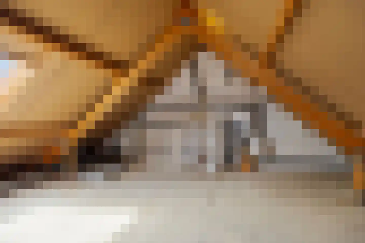 Belforthof 5 Eindhoven thumbnail 26