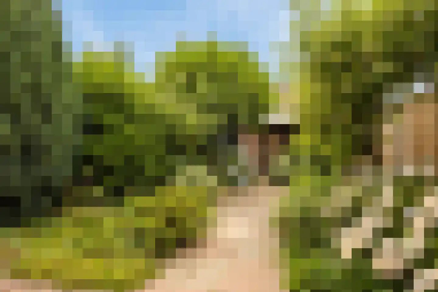 Belforthof 5 Eindhoven thumbnail 28