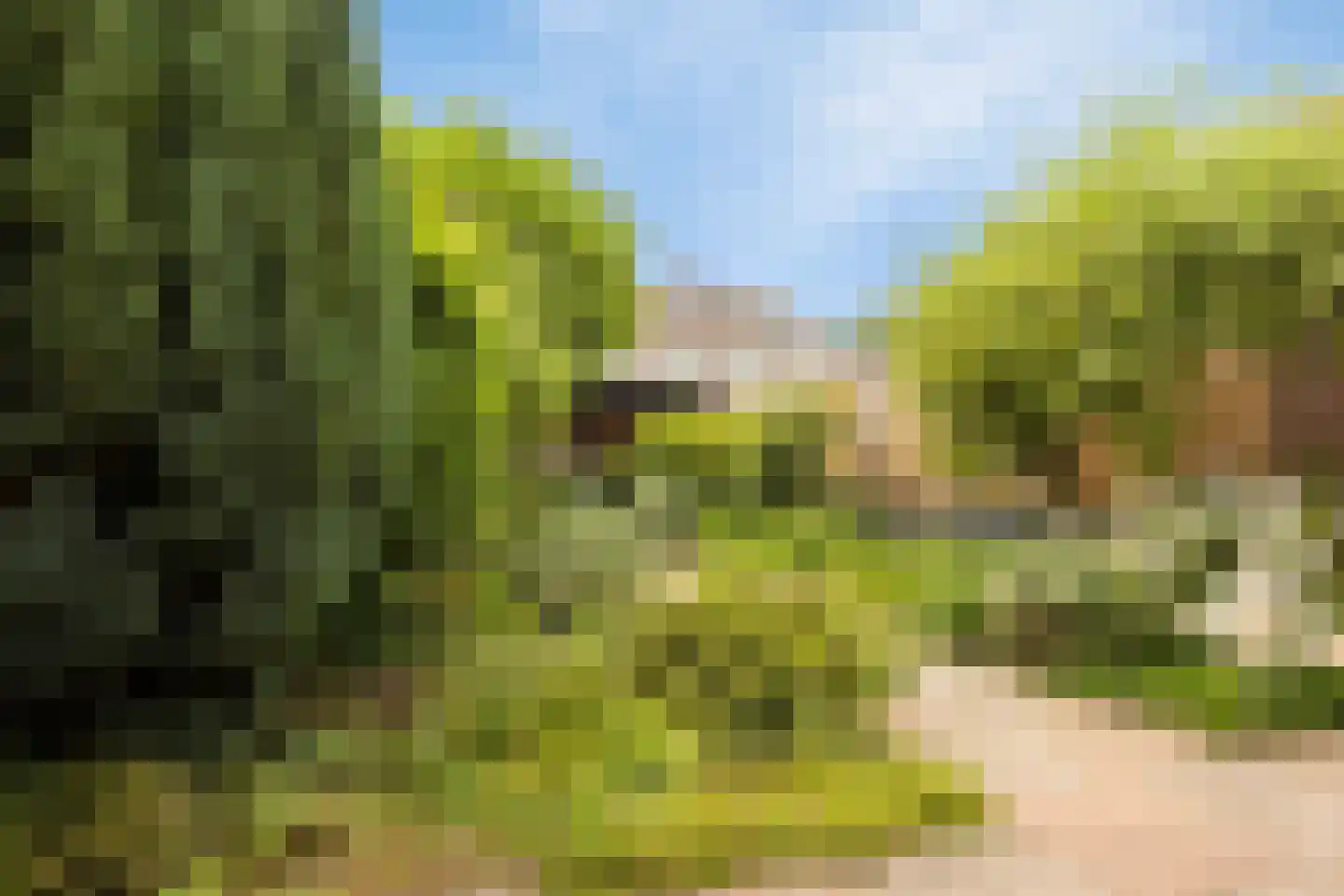 Belforthof 5 Eindhoven thumbnail 29