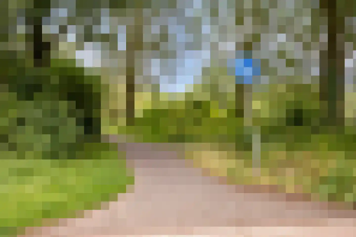 Belforthof 5 Eindhoven thumbnail 38