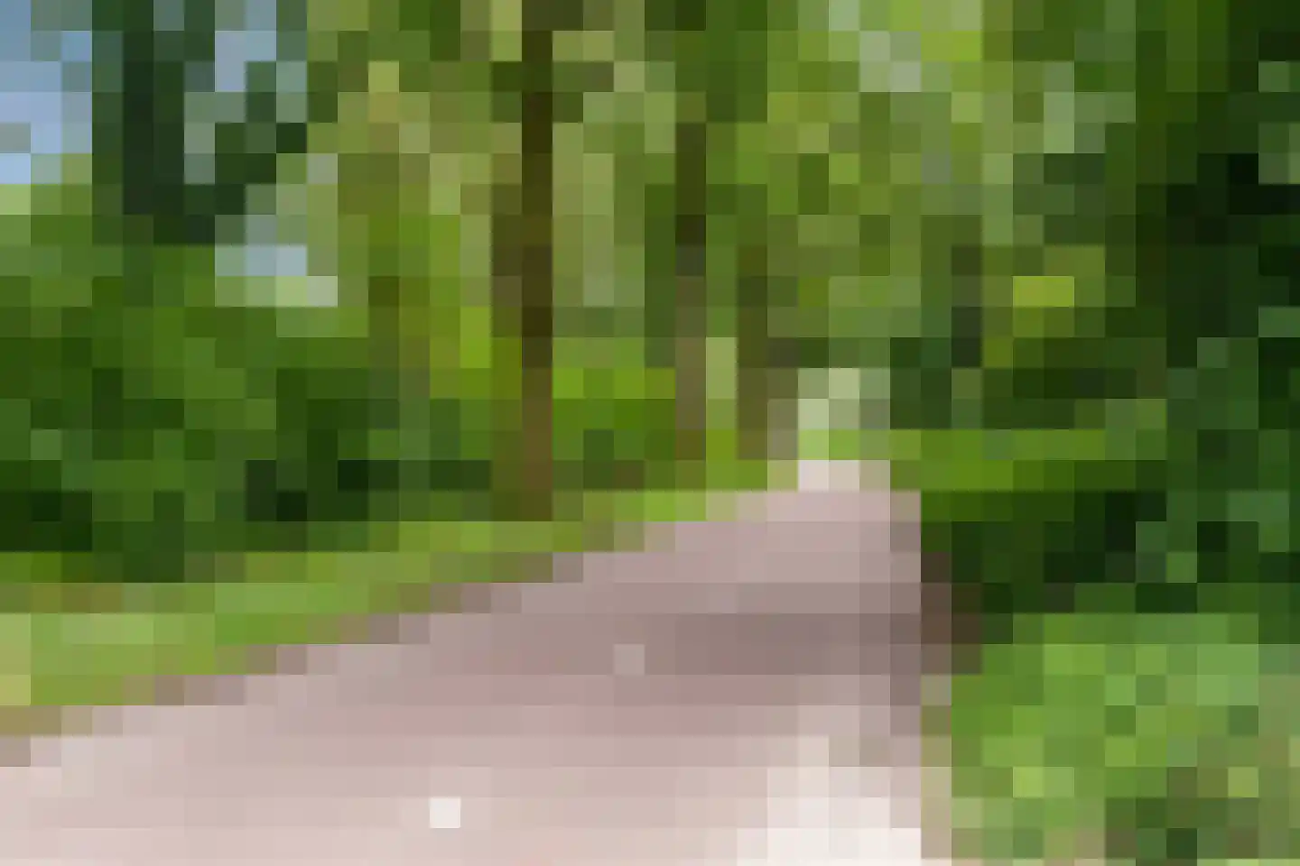 Belforthof 5 Eindhoven thumbnail 39