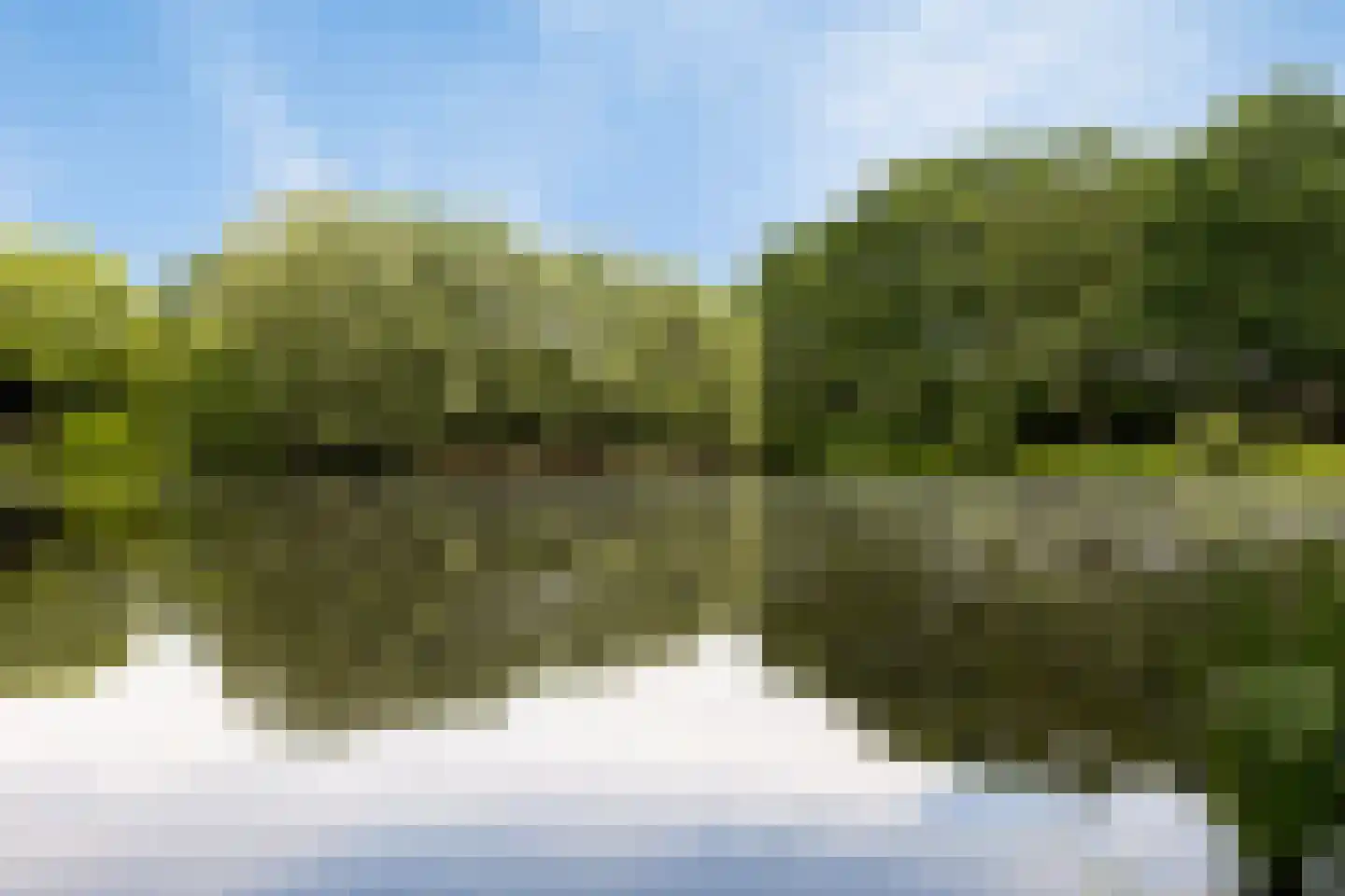 Belforthof 5 Eindhoven thumbnail 5