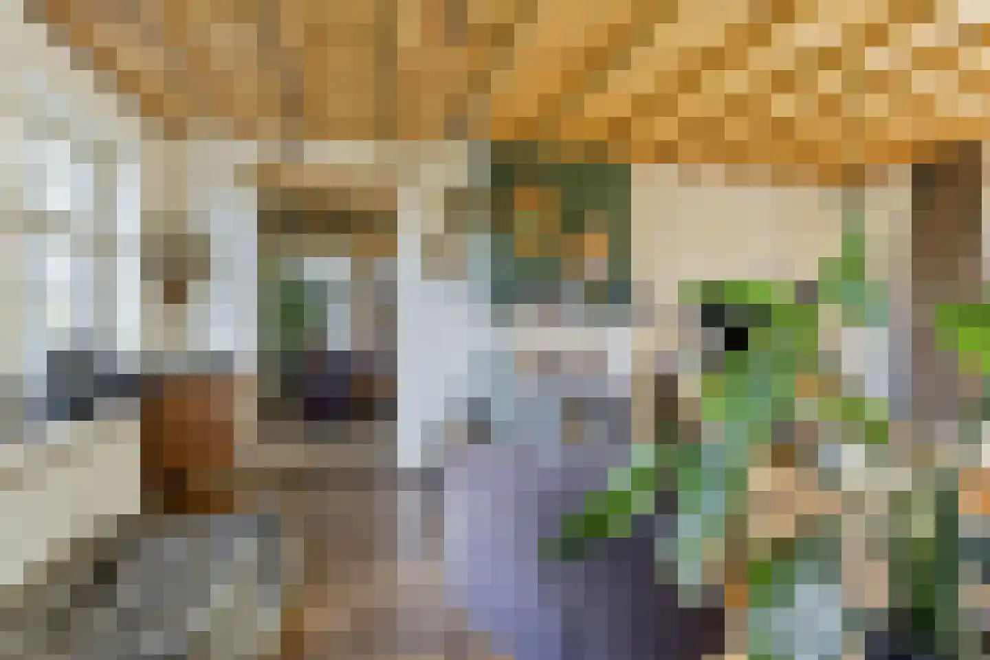 Belgerenseweg 11 Vlierden thumbnail 12