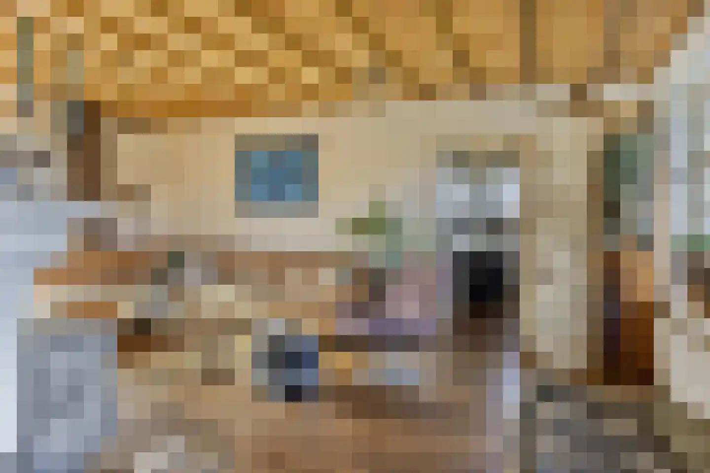 Belgerenseweg 11 Vlierden thumbnail 13