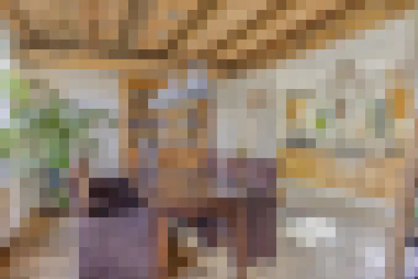 Belgerenseweg 11 Vlierden thumbnail 17