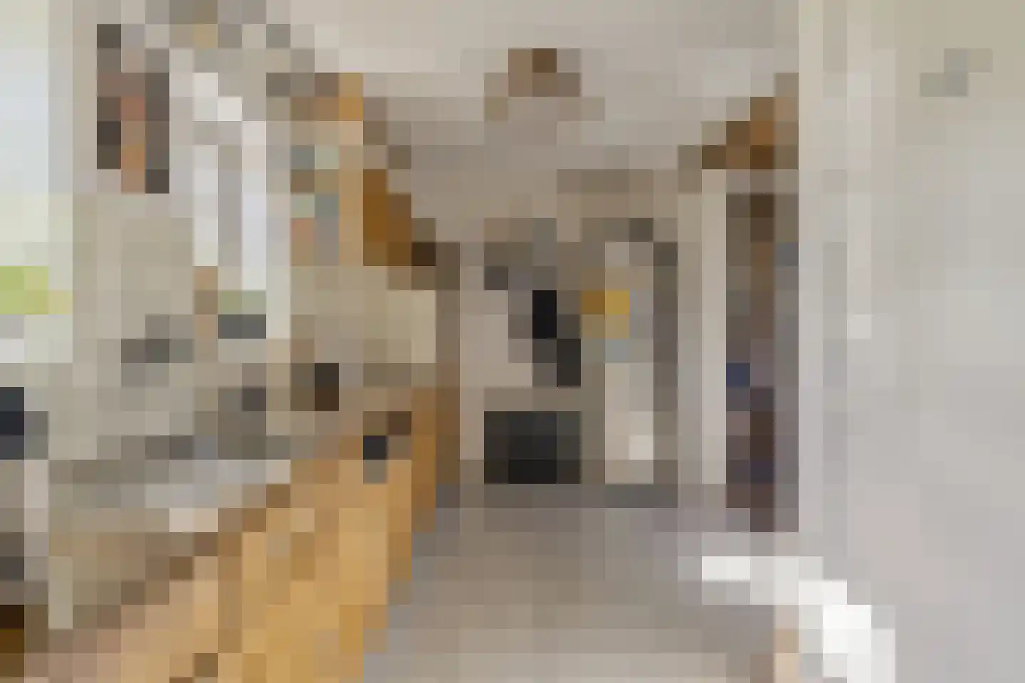 Belgerenseweg 11 Vlierden thumbnail 19