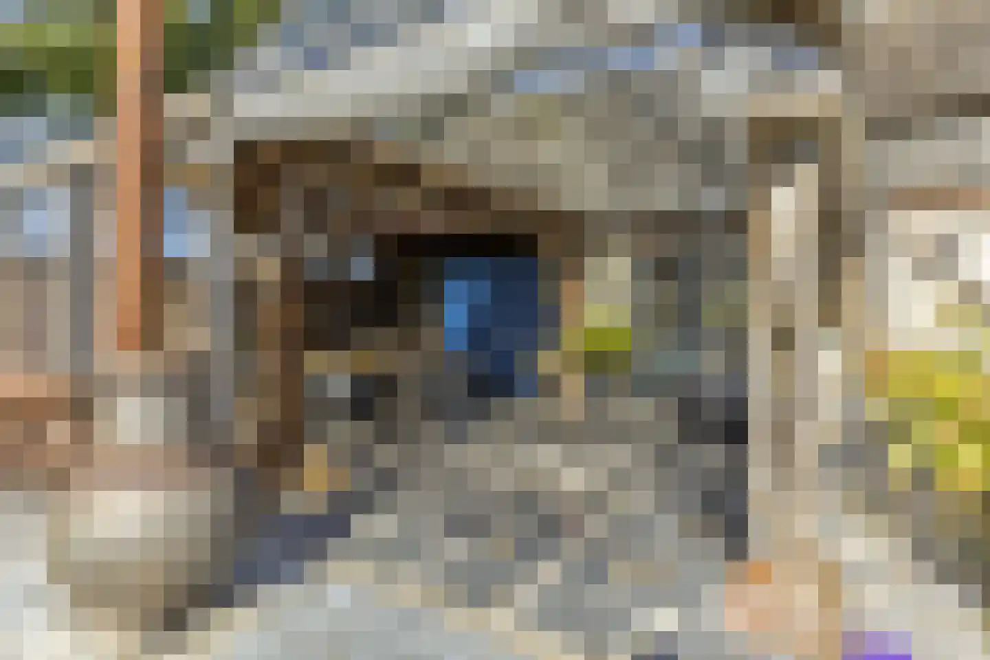 Belgerenseweg 11 Vlierden thumbnail 31