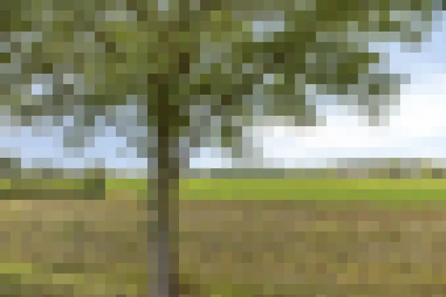 Belgerenseweg 11 Vlierden thumbnail 37