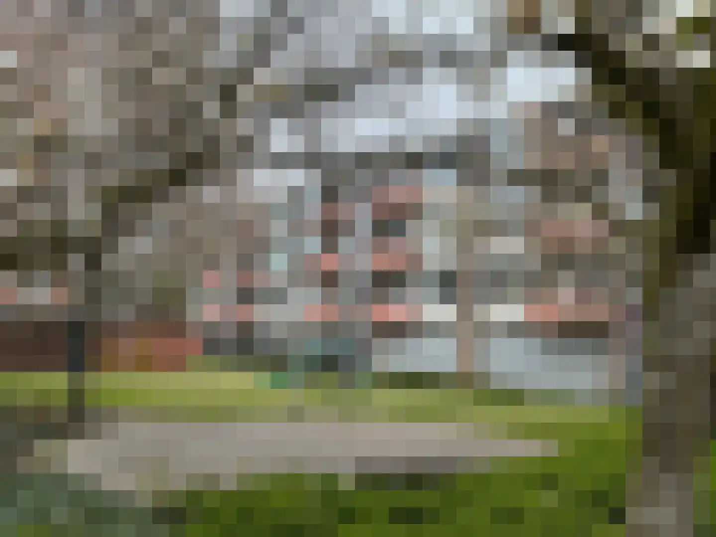 Belgiëlaan 264 Enschede thumbnail 24