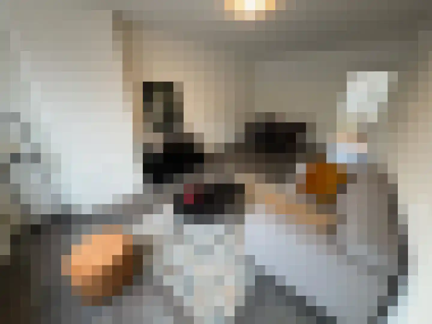 Belgiëlaan 264 Enschede thumbnail 4