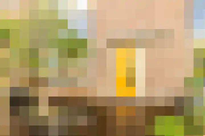 Belgiëlaan 45 Beverwijk thumbnail 36