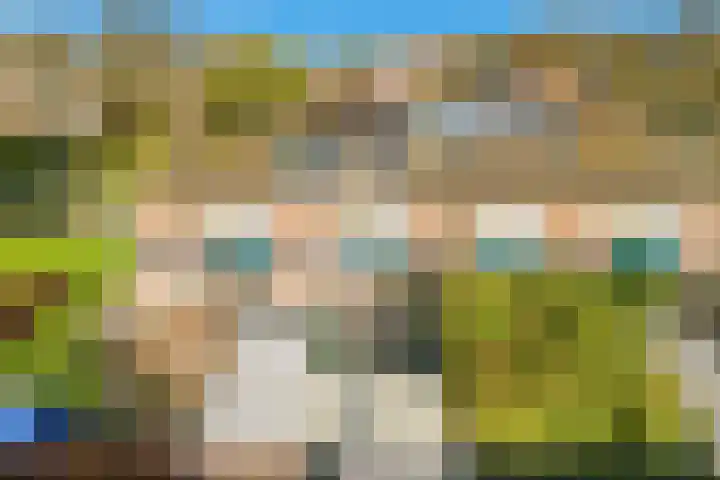 Belgiëlaan 45 Beverwijk thumbnail 4