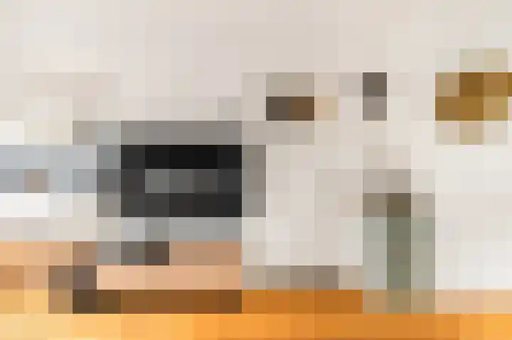 Belgiëlaan 45 Beverwijk thumbnail 9