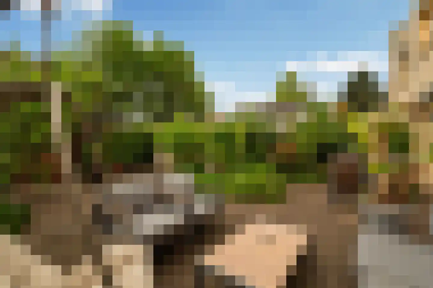 Belgiëpark 6 Alphen aan den Rijn thumbnail 39