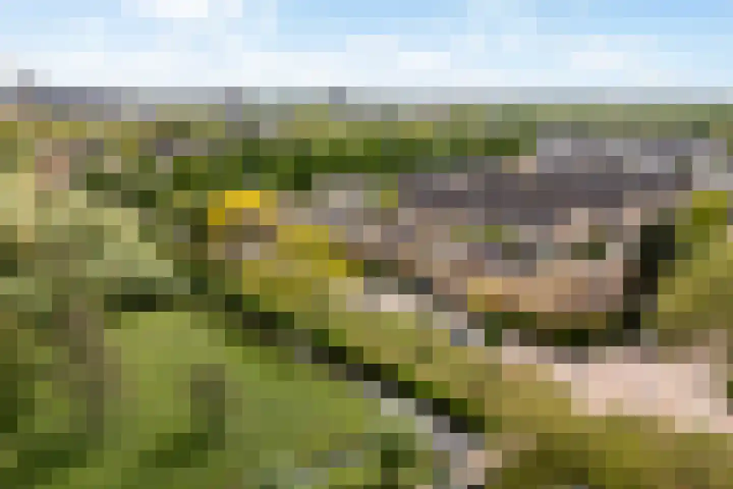 Belgiëpark 6 Alphen aan den Rijn thumbnail 4