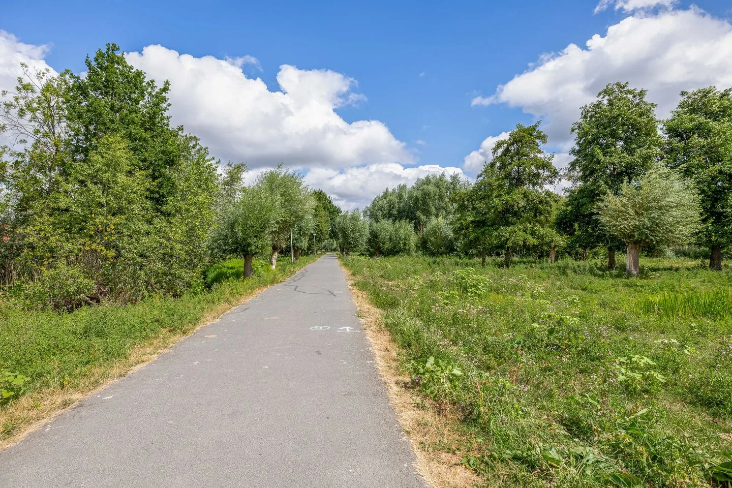 Belgiëpark 6 Alphen aan den Rijn thumbnail 41