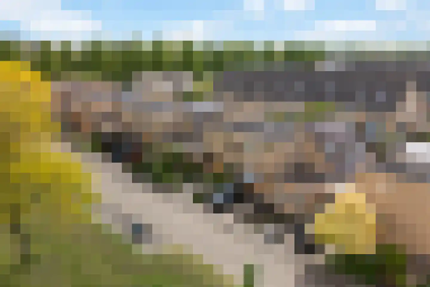 Belgiëpark 6 Alphen aan den Rijn thumbnail 5