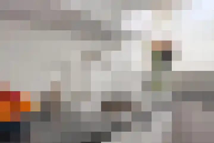 Belgiëplein 18 Eindhoven thumbnail 10