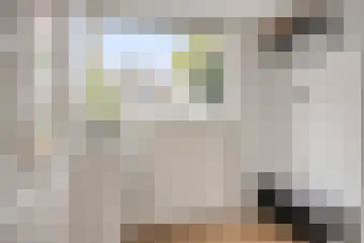 Belgiëplein 18 Eindhoven thumbnail 4