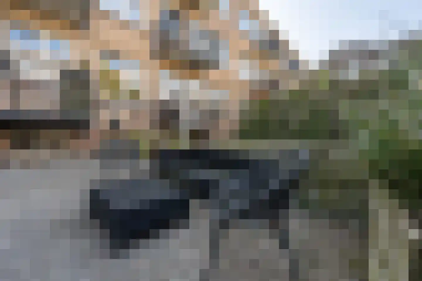 Belgischestraat 45 A Rotterdam thumbnail 35