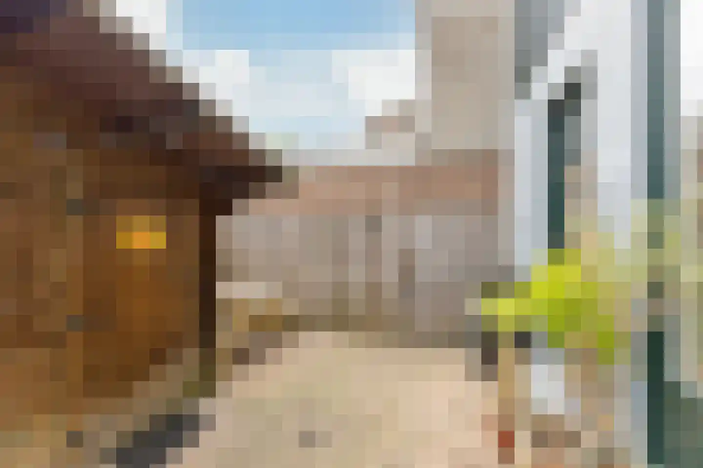 Belgischestraat 6 Zaandam thumbnail 20