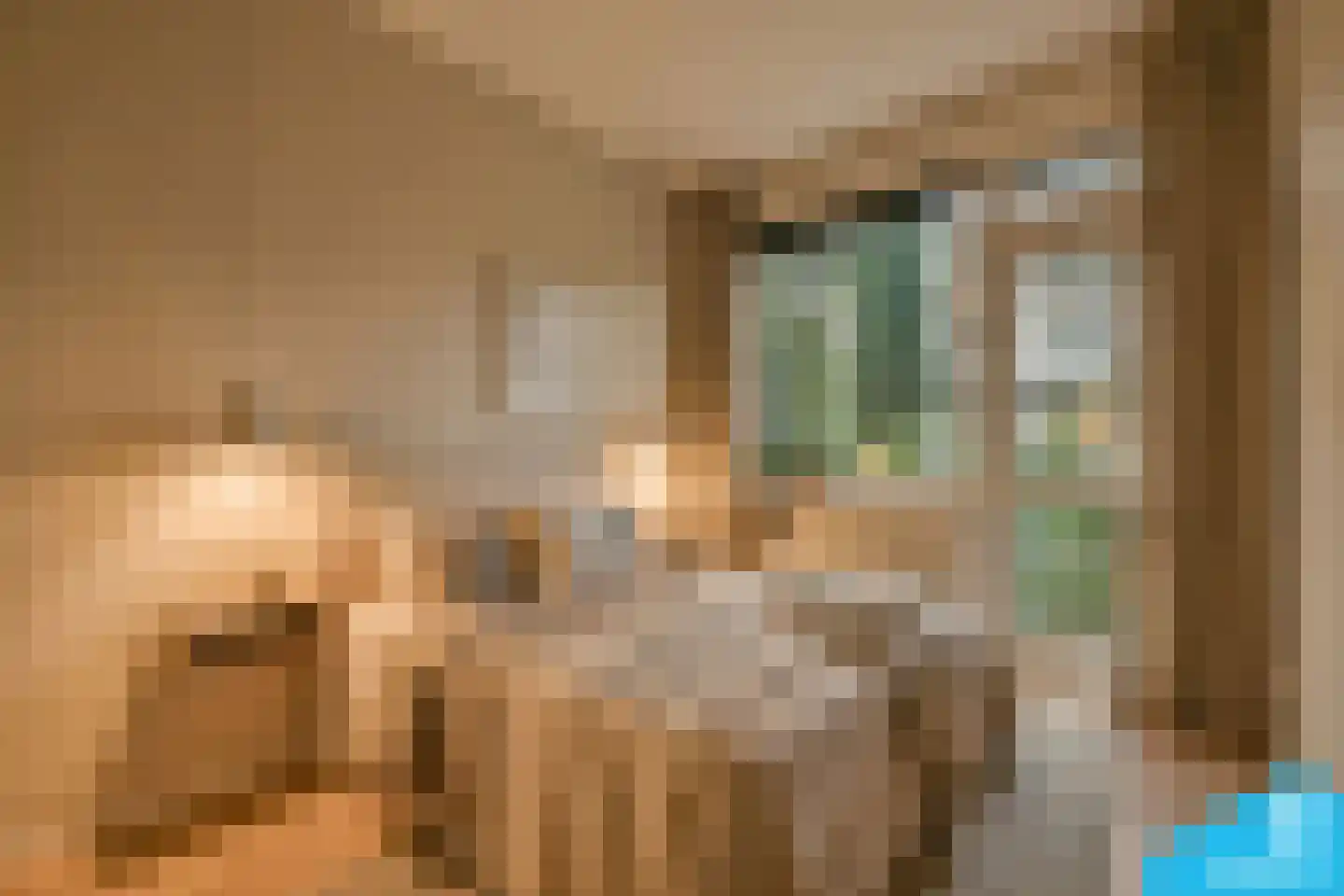 Belgischestraat 7 A Rotterdam thumbnail 8