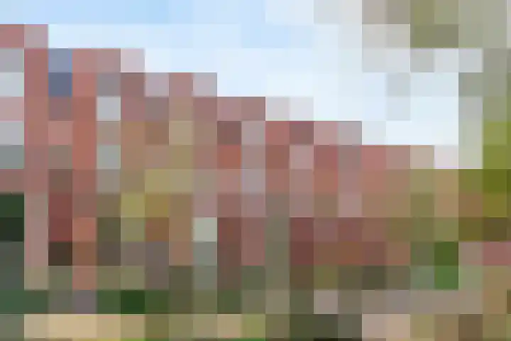 Belgradostraat 49 Utrecht thumbnail 5
