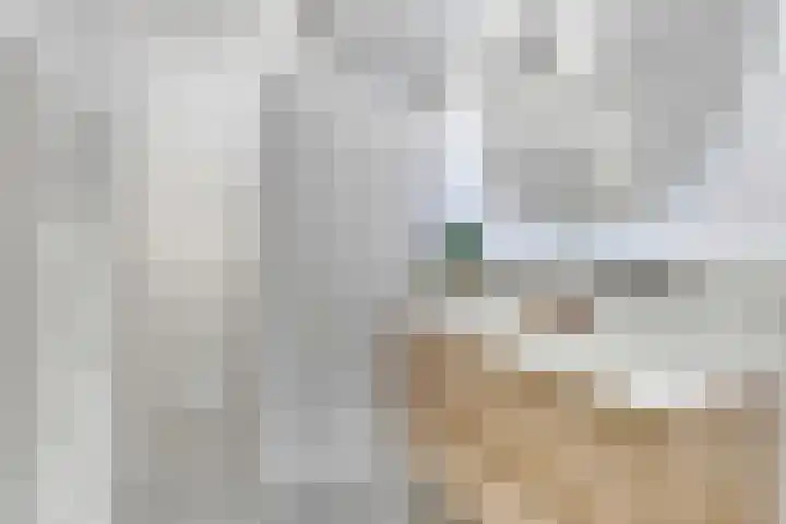 Belgradostraat 53 Utrecht thumbnail 31