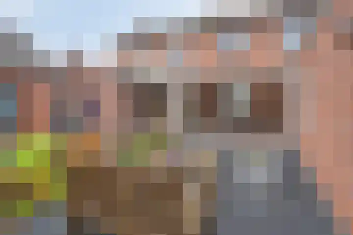Belhofstraat 6 Roosteren thumbnail 21
