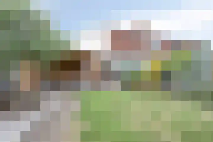 Belhofstraat 9 Roosteren thumbnail 17