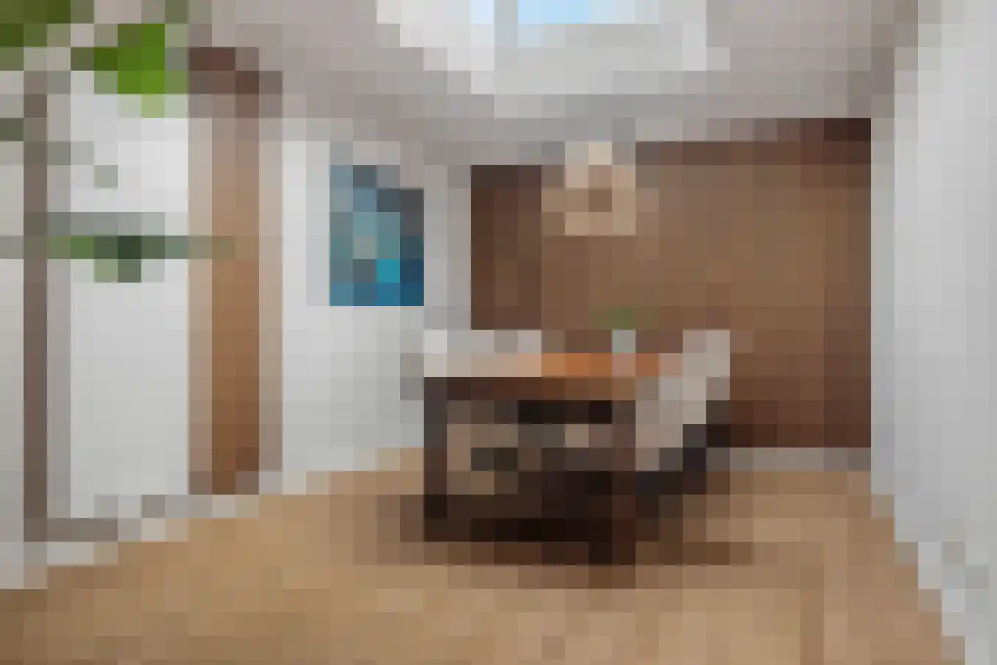 Beliënstraatje 2 Oirschot thumbnail 13
