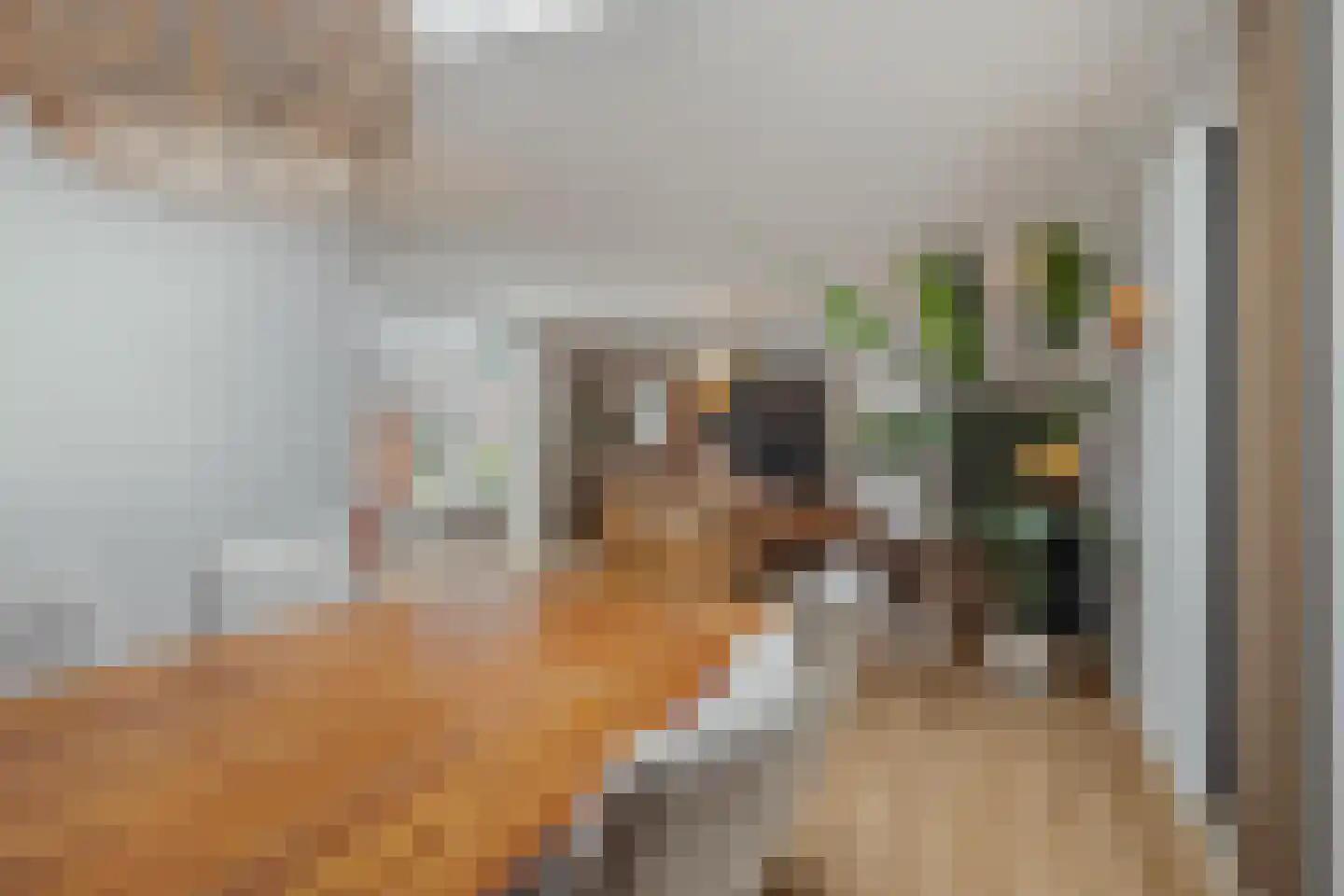 Beliënstraatje 2 Oirschot thumbnail 14