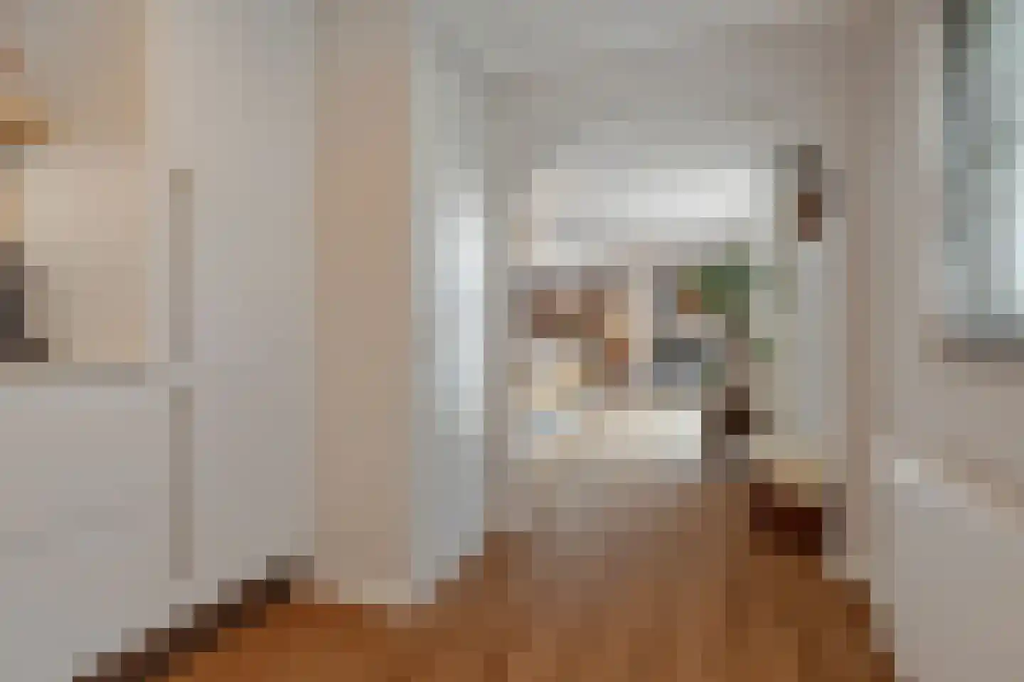 Beliënstraatje 2 Oirschot thumbnail 20