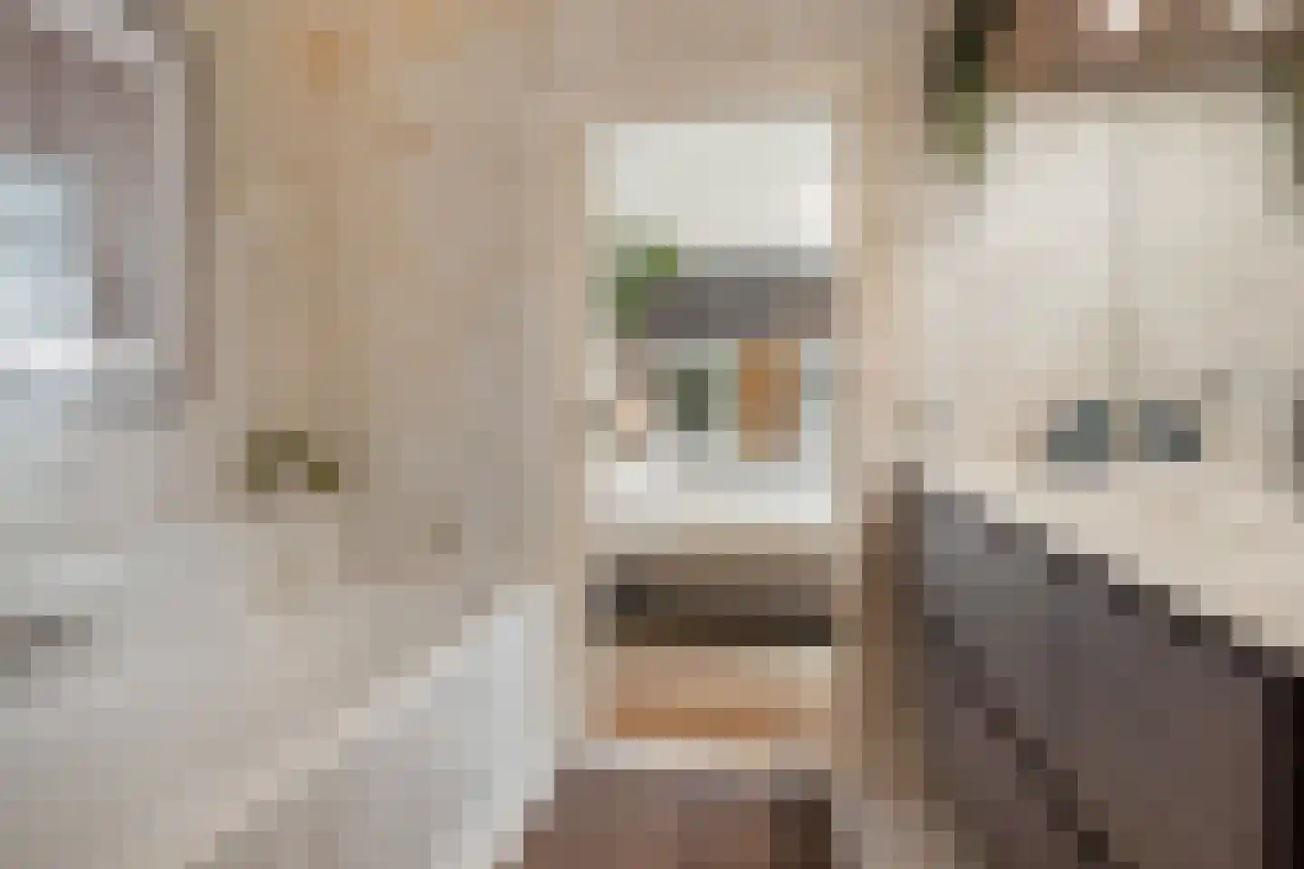 Beliënstraatje 2 Oirschot thumbnail 25