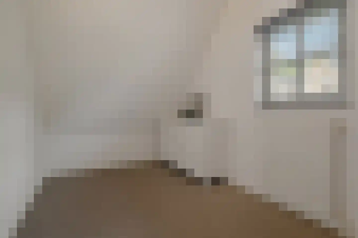 Beliënstraatje 2 Oirschot thumbnail 30
