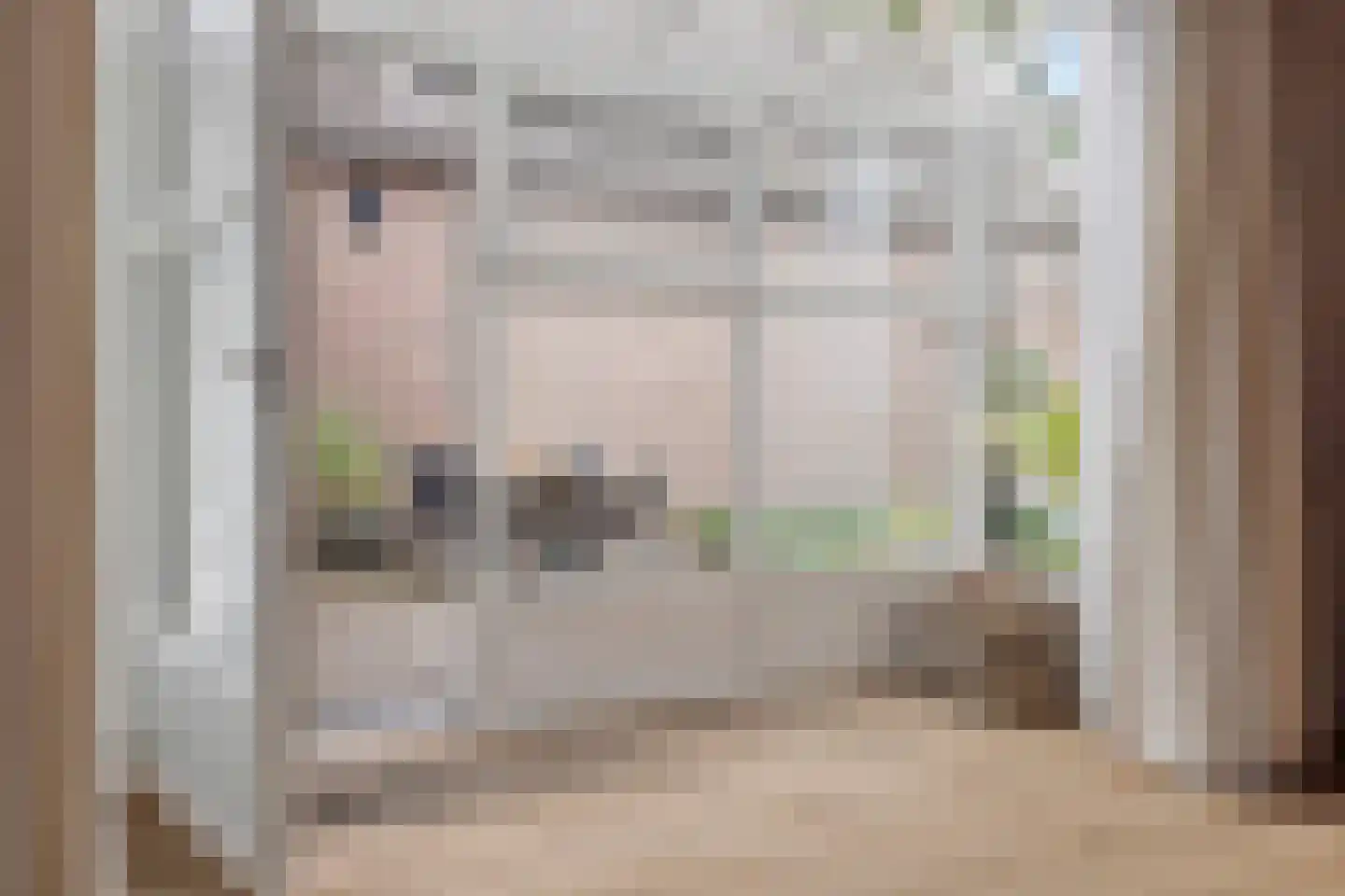 Beliënstraatje 2 Oirschot thumbnail 33